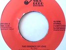 RODNEY JEROME KEITT - essence of love - 45 RARE Lo-Fi BOOGIE FUNK/SWEET/SOUL