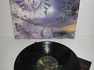 FIVE DAY RAIN – Five Day Rain – vinyl LP