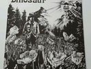 DINOSAUR RARE LP 
