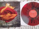 HANDGUNS DISENCHANTED VINYL LP /100 Story so Far Knuckle Puck Four Year Strong