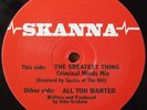 Skanna All You Wanted / The Greatest Thing (Criminal Minds Mix) 12 Inch Vinyl Ne