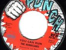 THE HURRICANES/SKINHEAD REGGAE/PUNCH 45/YOU CAN RUN - WHERE LOVE GOES..RARE