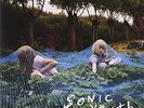 SONIC YOUTH-MURRAY STREET (LP)-VINYL LP GEFFEN NEW