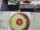 Kreator - Endorama Vinyl - Limited Edition 106 / 333