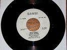 RARE DOO WOP SOUL 45 MOOD MAKERS-DOLORES/DREAM A DREAM ORIG BAMBI PROMO 7