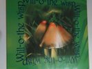 LP WILL-O-THE-WISP - SAME - GREEK NEO PROG PSYCH - GREEK 1999 - MINT- - ULTRARAR