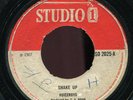 Viceroys - Shake Up UK Studio 1 7