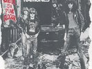 RAMONES SHEENA IS A PUNK ROCKER b/w I DON'T CARE EX+/EX+ ORIG SIRE 45 W/PS