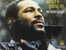 Marvin Gaye-What's Going On  Vinyl / 12