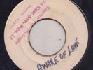 '69 TRAMP JERRY BUTLER REGGAE COVER 45 BUSTY BROWN AWARE OF LOVE/HARD WAY TO GO?