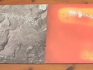 2 x THE YOUNG GODS LPs: SELF-TITLED & L'EAU ROUGE / RED WATER - NICE CONDITION