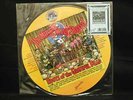 'Roots of the Grateful Dead' Picture Disc 'Music Never Stopped' Ltd. #d R.Crumb