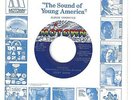 BOBBY DARIN  Northern 45  Melodie / Someday We'll Be Together - NM