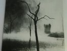 LP THE USE OF ASHES ( MEKANIK KOMMANDO ) -THE CASTLE OF FAIR WELCOME - ROSEBUD -