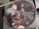 CRADLE OF FIELTH, Vampire,  Picture / Bild Vinyl, LP
