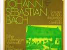Bach Sonatas f. Viola da Gamba by Esther Nyffenegger on Cello - Armida