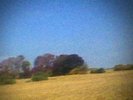 NEU LP Sun Kil Moon - Benji (Limited Edition) (Yellow Vinyl) #G55409976
