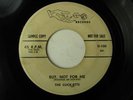 THE CLICK-ETTS But, Not For Me DICE Rare Promo Girl Group R&B Doo Wop 45 HEAR