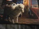 Fall Out Boy Infinity On High Vinyl