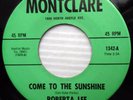 ROBERTA LEE 45 come to the Sunshine POP 1970's ? VAN DYKE PARKS Big Mamou jr02