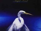 Faith No More-Angel Dust  Vinyl / 12
