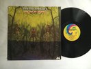 AMERICAN BLUES LP Do Their Thing UNI orig 1968 PSYCH zz top VG+