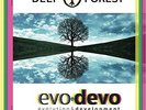 Evo Devo - Deep Forest (2016, Vinyl NEW)