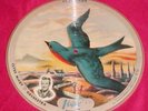 78 Vogue Picture Disc R 753  Clyde McCoy Down Yonder New Orleans Sundown Record