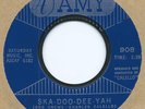 SKA OLDIES 45 - TRACEY DEY 
