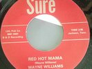 HEAR  Rare Rockabilly RE Wayne Williams - Red Hot Mama - Sure 45