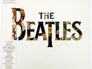 Vinyl LP Records EAS-91047 The Beatles 20 Greatest Hits w/OBI Japan (Odeon) HTR