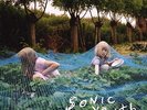 Murray Street - Sonic Youth (2016, Vinyl New)