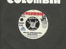 BRUCE SPRINGSTEEN Born To Run GROUP ROCK WLP PROMO 45 RPM RECORD