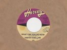 Harvey And Ann - What Can You Do Now / Will I Do - Harvey Motown Soul Northern C