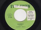 '59 Classic TEEN/Original Label LARRY HALL Sandy/Lovin' Tree EVER GREEN HEAR