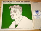 JUNIOR WELLS MUDDY WATERS ELMORE JAMES BLUES HIT BIG TOWN DELMARK USA 1977 LP