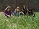 Ten Years After A SPACE IN TIME Audio Fidelity 200g AUDIOPHILE pressing (MINT)