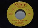 The Hesitations   Is This The Way To Treat A Girl    GWP   Northern Soul