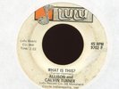ALLISON & CALVIN TURNER It Must Be Love on Lulu Northern Soul 45 Hear