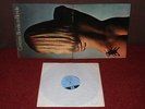 BLONDE ON BLONDE Contrasts LP 1969 PYE 1st Press BRILLIANT EXAMPLE