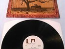 THE LEE RIDERS - S / T LP MINT / UNPLAYED RARE UK 1ST PRESS UA A-1U B-1U