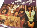 Very rare 'Lo Mejor De Golden Earring' Spanish  Press Vinyl LP EXCELLENT COPY