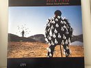 Pink Floyd Delicate Sound Of Thunder 12