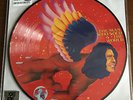 David Bowie Man Who Sold The World LP Picture Disc RSD 2016 Exclusive