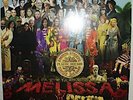 THE BEATLES SGT. PEPPER'S LONELY HEARTS CLUB BAND PICTURE COVER TRIBUTE PROMO LP