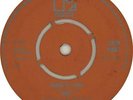 Ramblin' Rose - VG MC5 7
