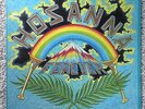 HOSANNA - FOREVER LP rare 1978 private illinois xian christian rock archivist