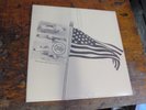 BROWN SUGAR Sings of Birds and Racism LP FERAL KIDS hardcore punk