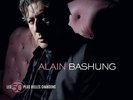 BASHUNG, ALAIN-LES 50 PLUS BELLES..-CD3 UNIVERSAL NEU