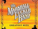 MARSHALL TUCKER BAND - GREATEST HITS NEW VINYL